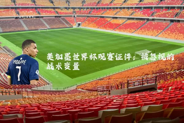 美加墨世界杯观赛证件：被忽视的战术变量