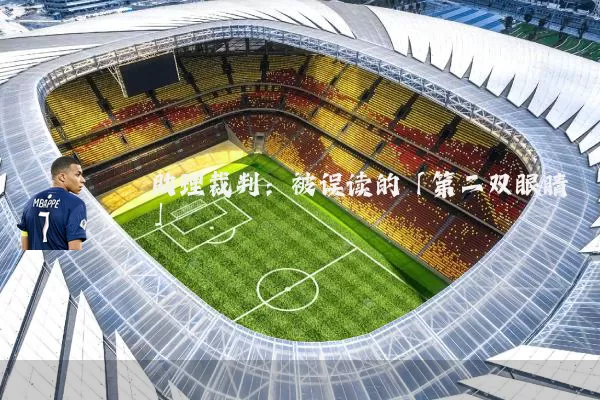 助理裁判：被误读的「第二双眼睛」